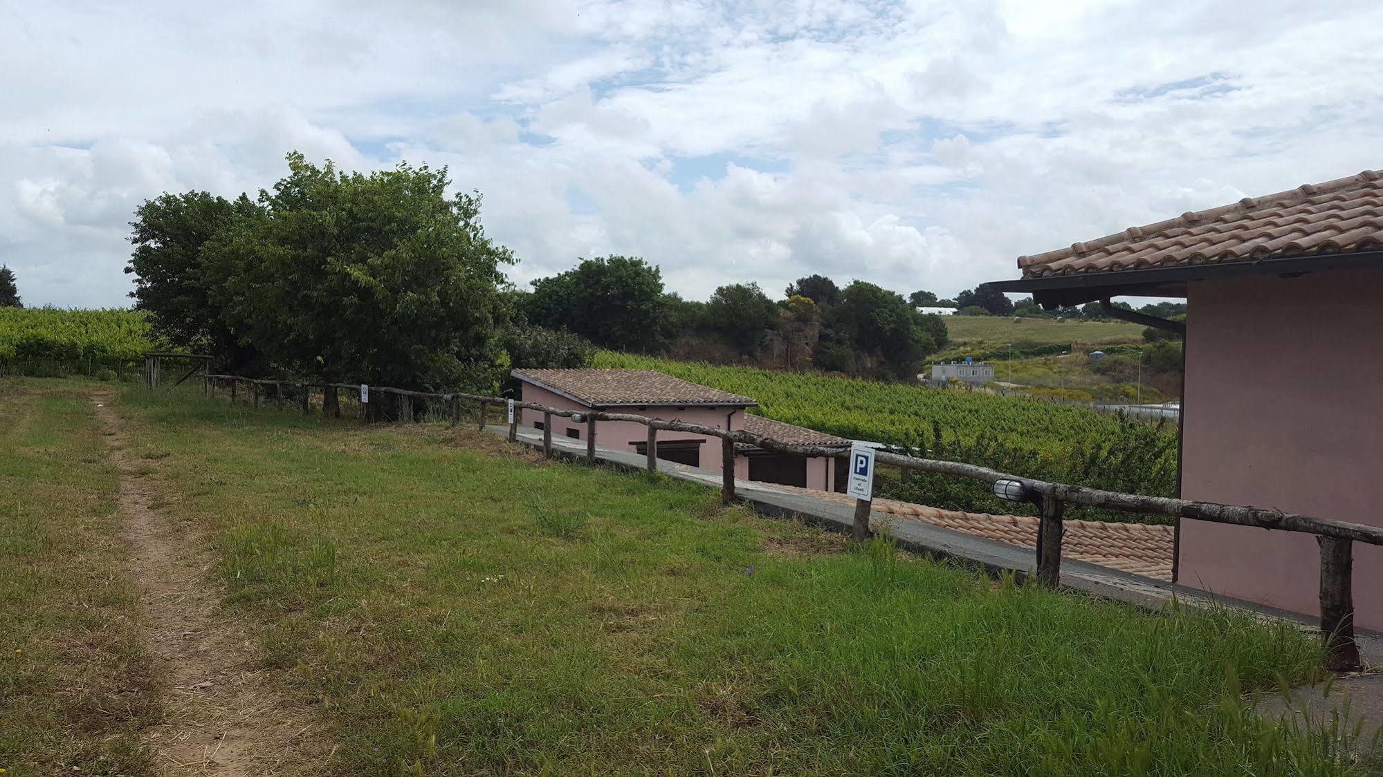 Azienda Agricola Sinisi Cerveteri Dış mekan fotoğraf